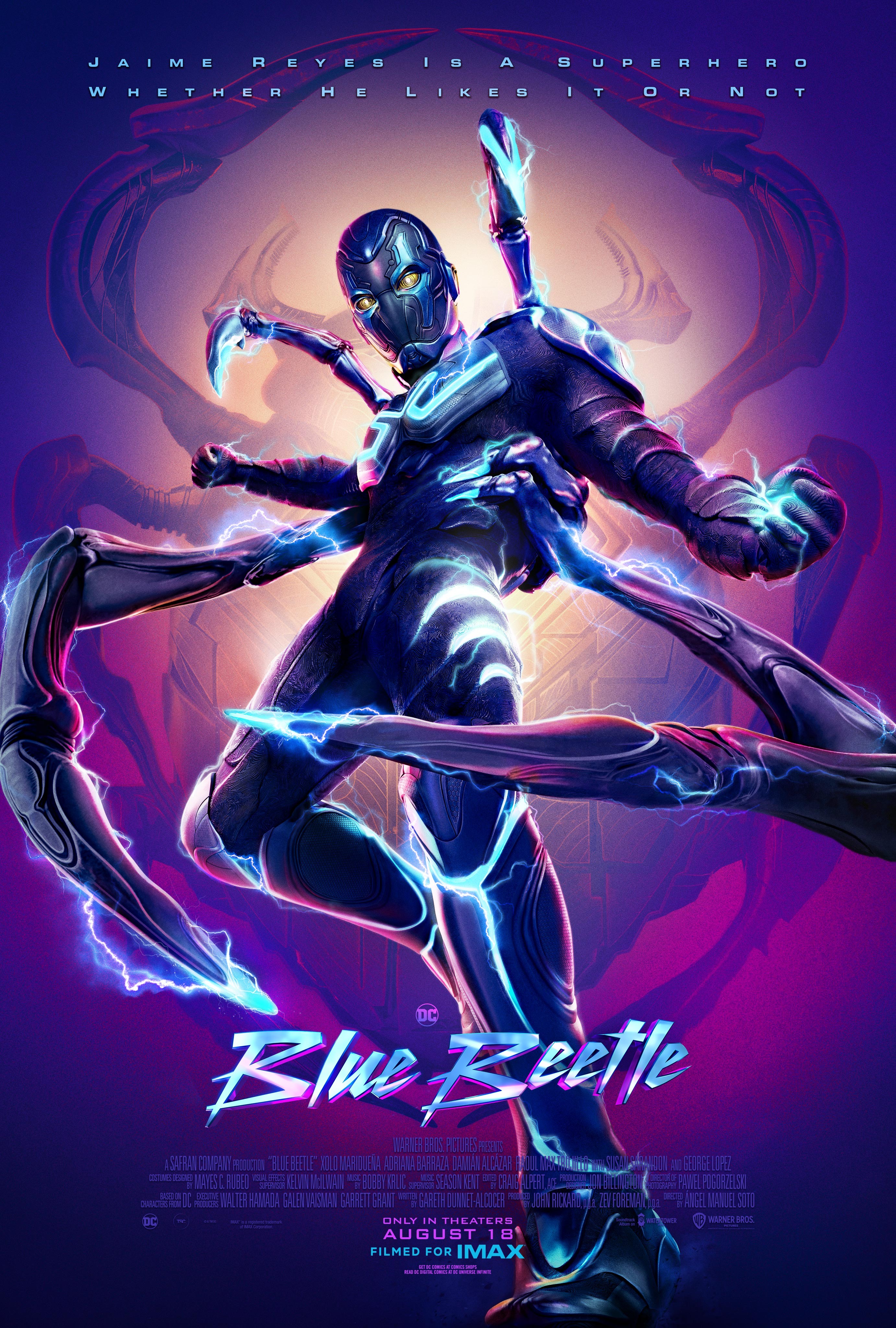 blue-bettle